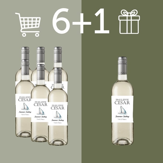6 plus 1 offerte - vins